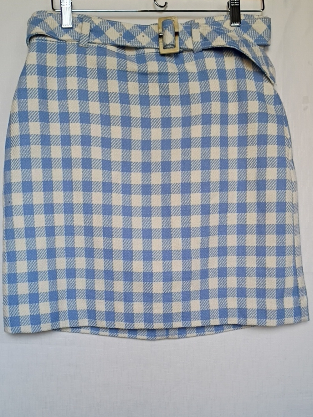 Ann Taylor Blue and White Gingham Belted Women's Skirt Size 10 P A-Lined